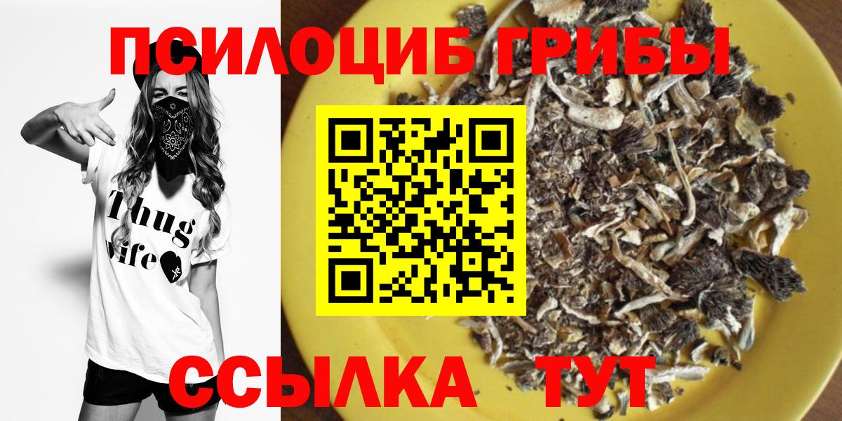 Галлюциногенные грибы GOLDEN TEACHER Чернушка