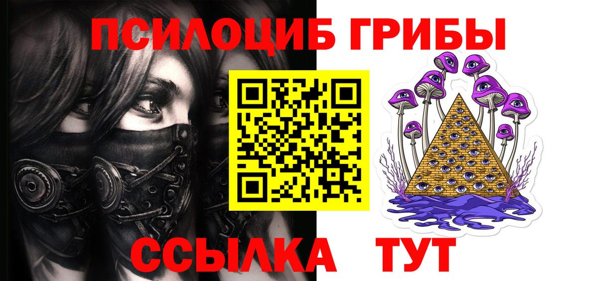 Чернушка  Псилоцибиновые грибы Magic Shrooms  Вход с VPN 